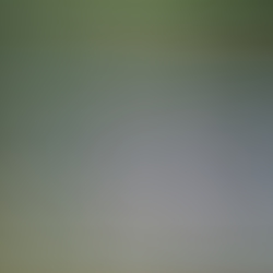 531b5566.JPG