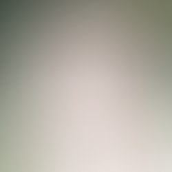 531b5572.JPG