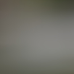 531b5653.JPG