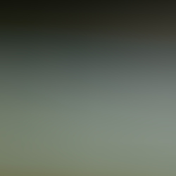 531b5921.JPG