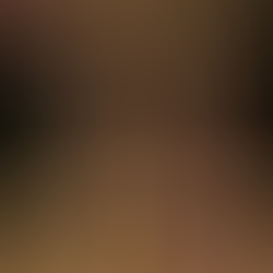 531b6197.JPG