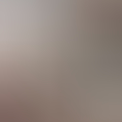 dsc0034.jpg