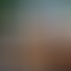dsc3781.jpg