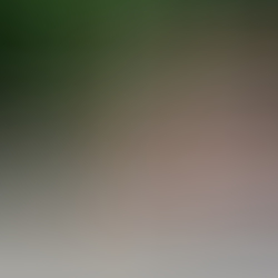 dsc4599.jpg