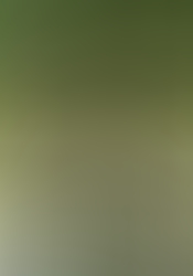 img2014-1-2.JPG