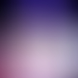 img4207-1-2.JPG