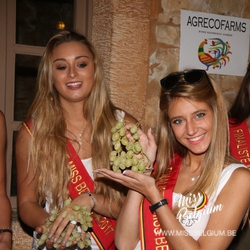 img6929-1-1.JPG