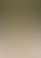 img8501-2.JPG