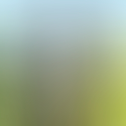 mbx-anabelle-herbigniaux-1.jpg