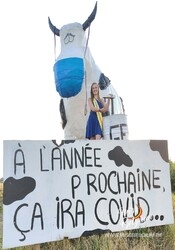 vache-emblematique-de-prouvy-lanotte-aline-mlx2-img20200811194750.jpg
