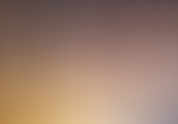 aam5665.jpg