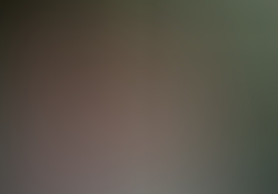 aao8501.jpg