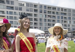 akl2002.JPG