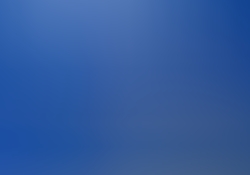 akz9894.jpg