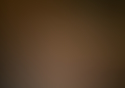 dsc0004-1.jpg