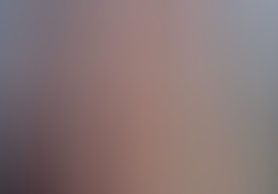 dsc0036-1.jpg