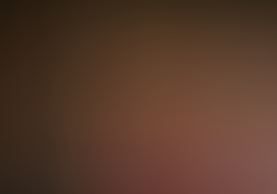 dsc0119-1.jpg
