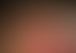 dsc0132-1.jpg