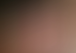 dsc0184-2.jpg