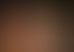 dsc0194.jpg