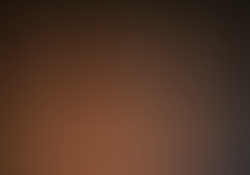 dsc0196-1.jpg