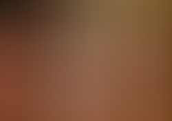dsc0205-1.jpg