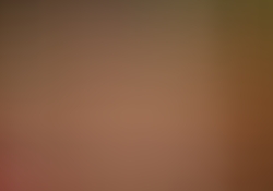 dsc0222-1.jpg