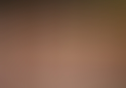 dsc0230-1.jpg