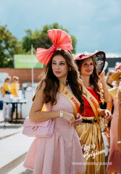 dsc02303-6.jpg