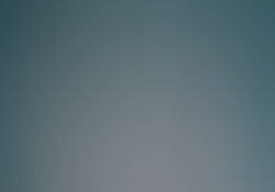 dsc0247-1.jpg