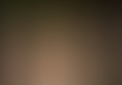 dsc0271.jpg
