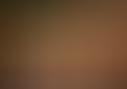 dsc0282-1.jpg