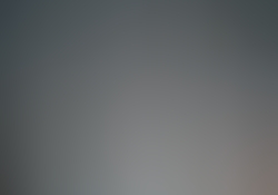 dsc0295.jpg