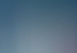 dsc0301.jpg