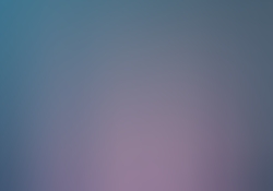 dsc0397.jpg