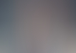 dsc0427-2.jpg