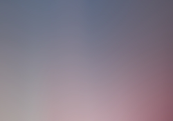 dsc0463-1.jpg