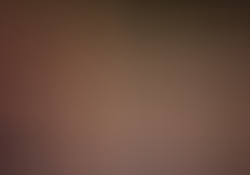 dsc0477-1.jpg