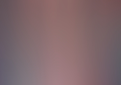 dsc0496-1.jpg