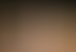 dsc0510.jpg