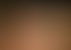 dsc0519-1.jpg