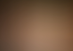dsc0546.jpg