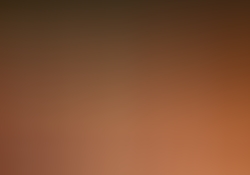 dsc0695.jpg