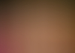 dsc0698-1.jpg
