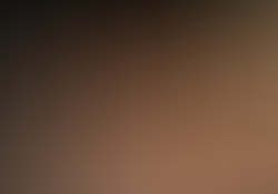 dsc0800-1.jpg