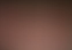 dsc0822.jpg