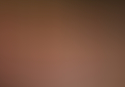 dsc0829-2.jpg