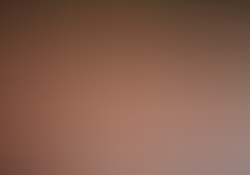 dsc0833.jpg