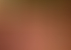 dsc0842-2.jpg