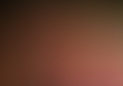 dsc0880-2.jpg